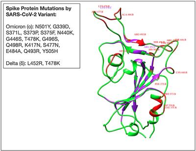 Alpha, Beta, Delta, Omicron, and SARS-CoV-2 Breakthrough Cases: Defining Immunological Mechanisms for Vaccine Waning and Vaccine-Variant Mismatch